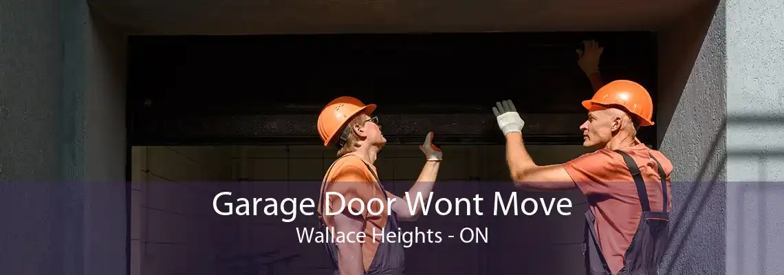 Garage Door Wont Move Wallace Heights - ON