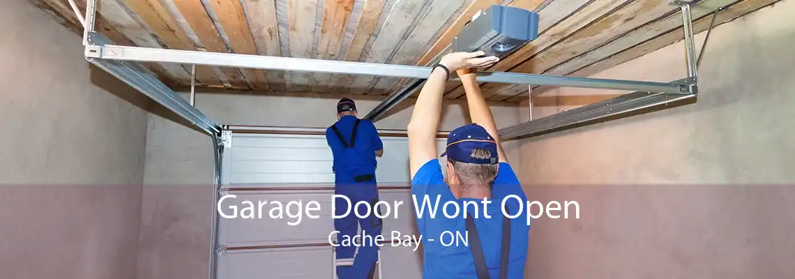 Garage Door Wont Open Cache Bay - ON