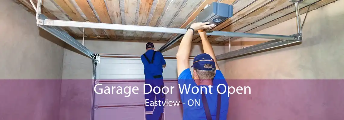 Garage Door Wont Open Eastview - ON