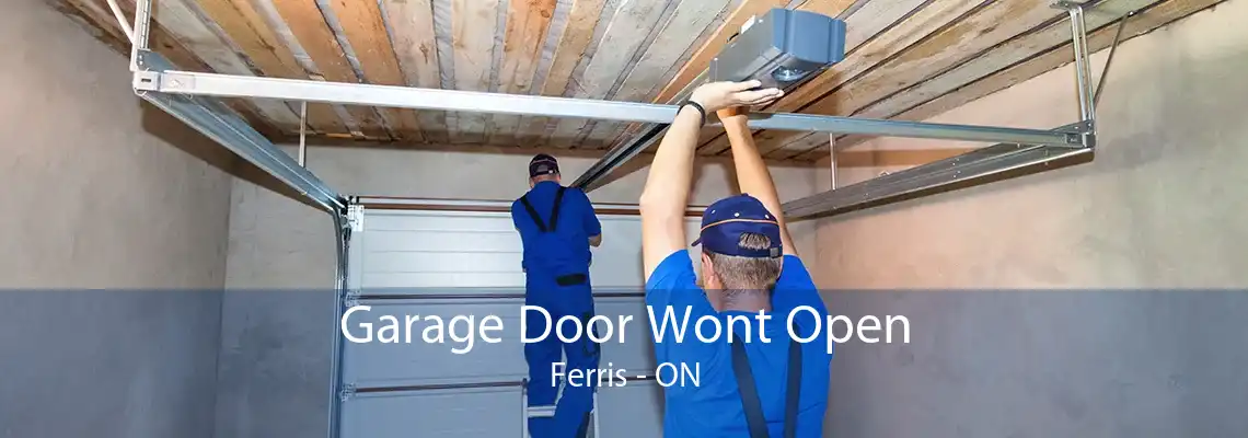 Garage Door Wont Open Ferris - ON