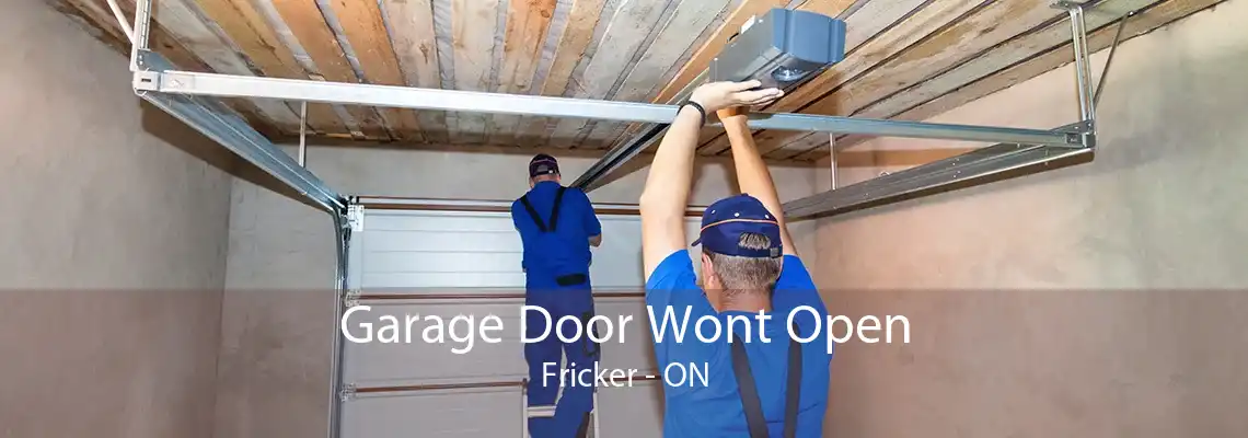 Garage Door Wont Open Fricker - ON