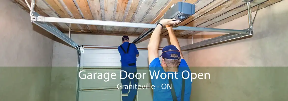 Garage Door Wont Open Graniteville - ON