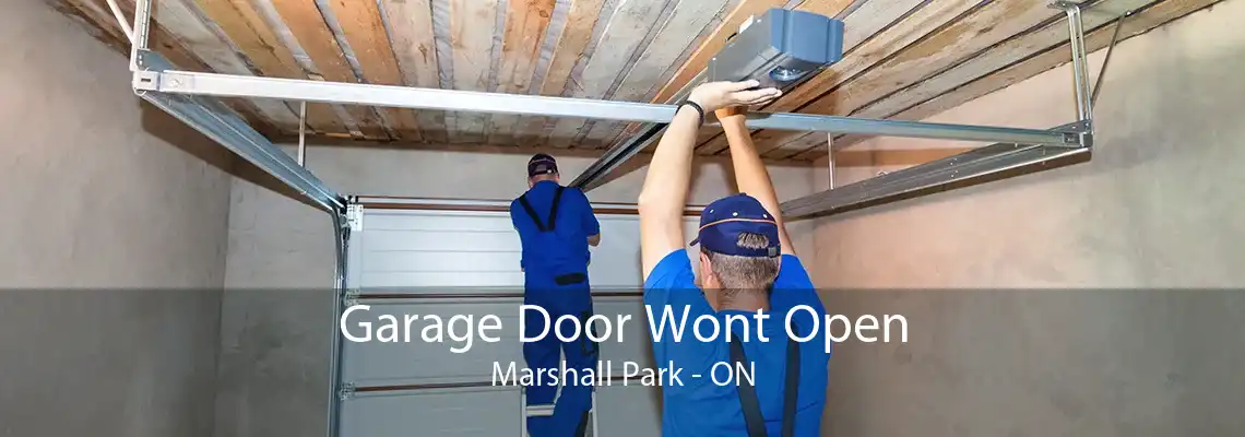 Garage Door Wont Open Marshall Park - ON