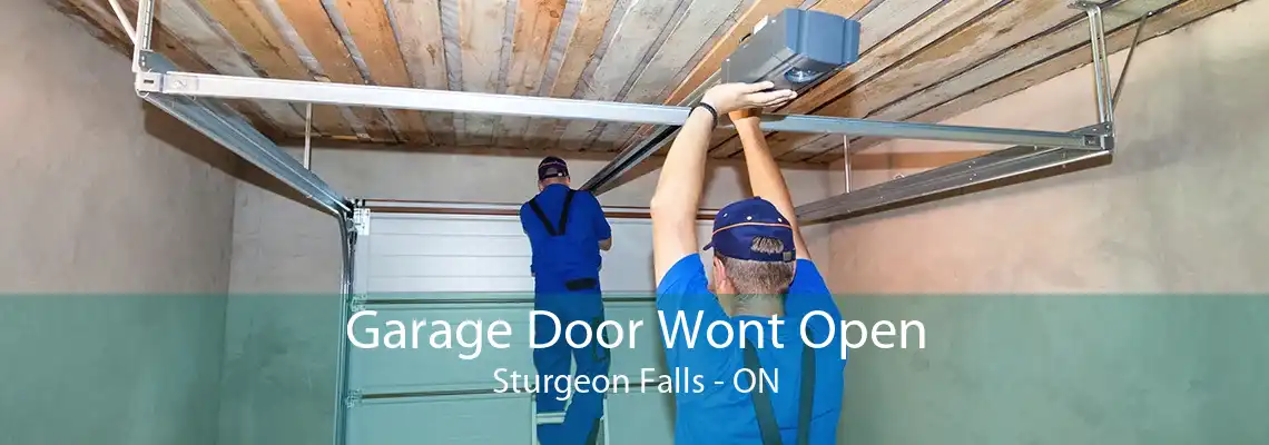 Garage Door Wont Open Sturgeon Falls - ON