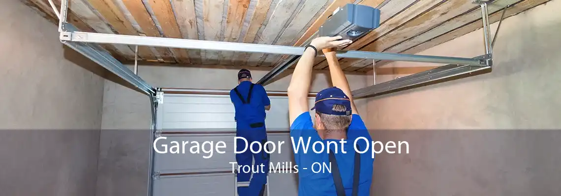 Garage Door Wont Open Trout Mills - ON