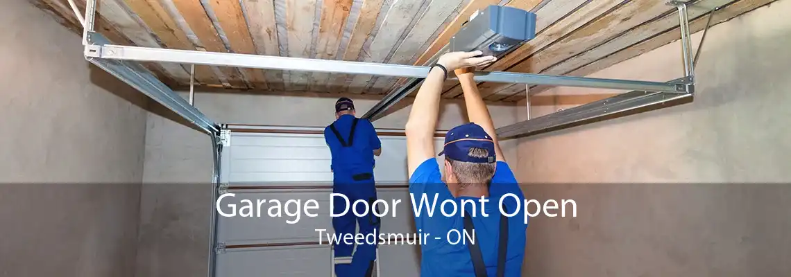 Garage Door Wont Open Tweedsmuir - ON
