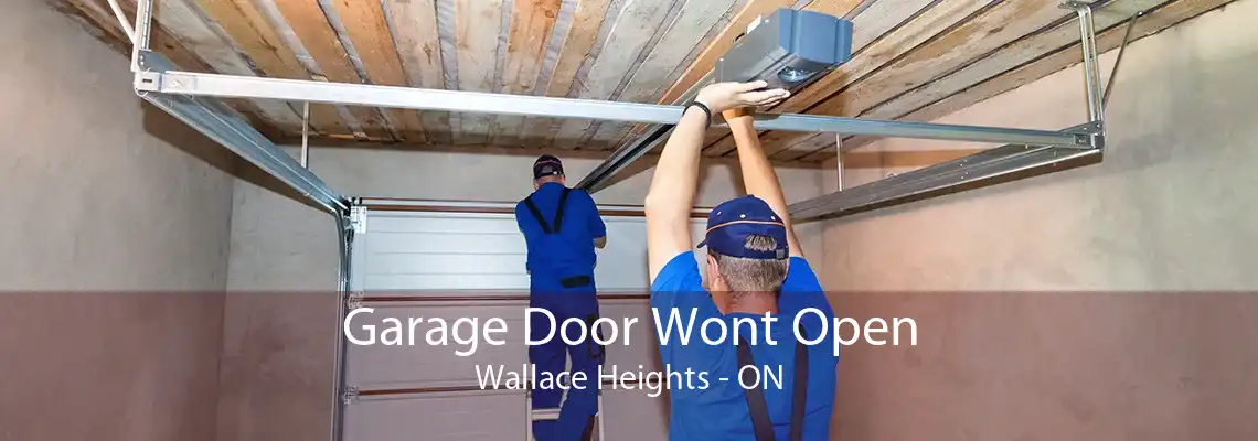 Garage Door Wont Open Wallace Heights - ON