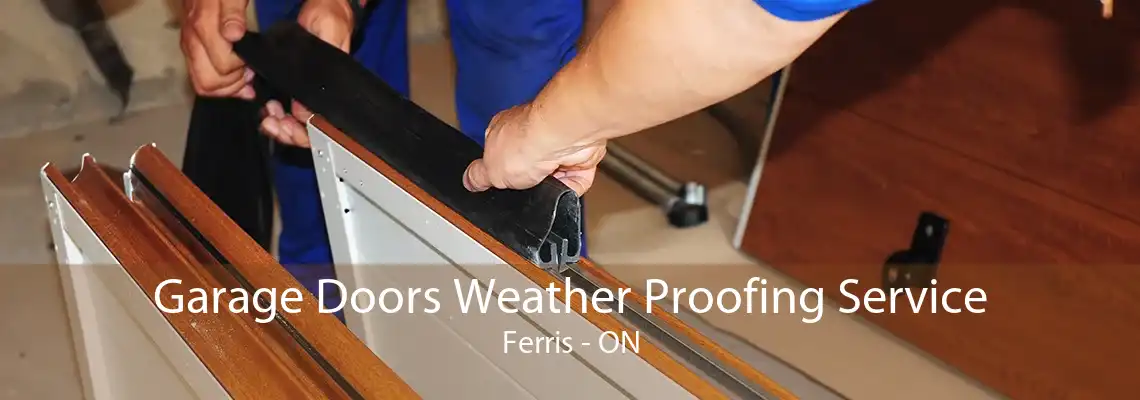 Garage Doors Weather Proofing Service Ferris - ON