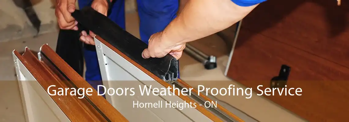 Garage Doors Weather Proofing Service Hornell Heights - ON