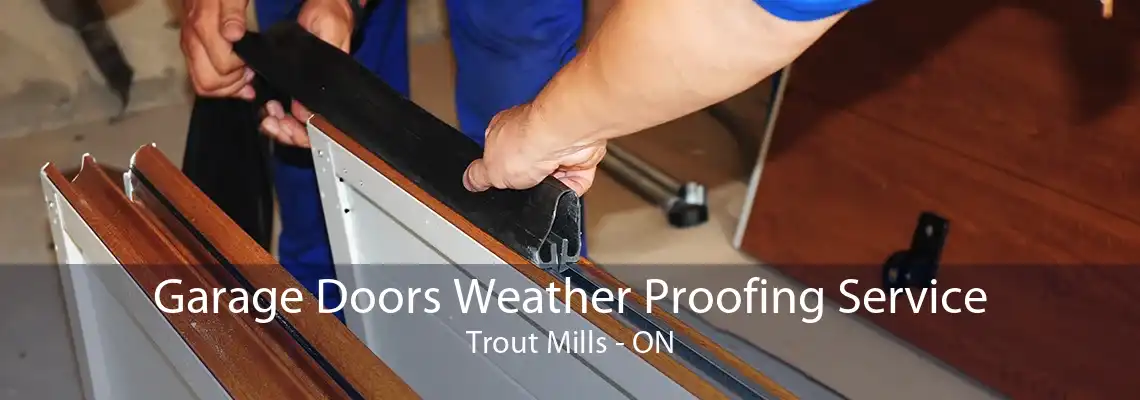 Garage Doors Weather Proofing Service Trout Mills - ON