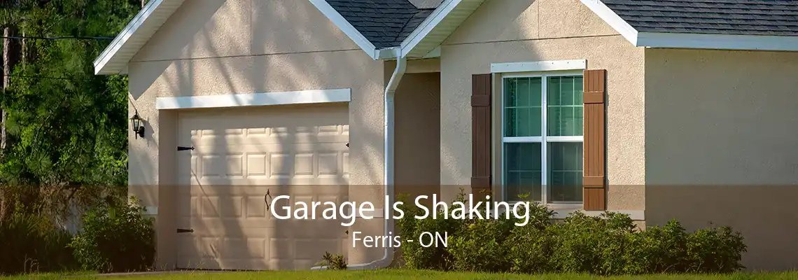 Garage Is Shaking Ferris - ON