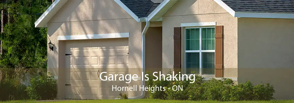 Garage Is Shaking Hornell Heights - ON