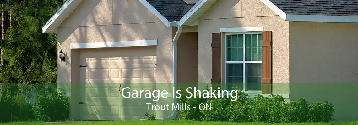 Garage Is Shaking Trout Mills - ON