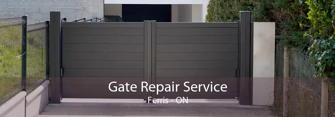 Gate Repair Service Ferris - ON