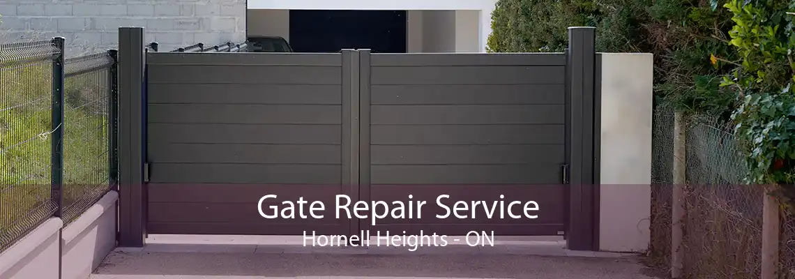 Gate Repair Service Hornell Heights - ON