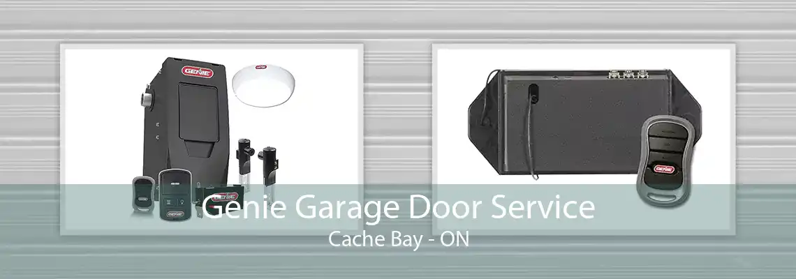 Genie Garage Door Service Cache Bay - ON