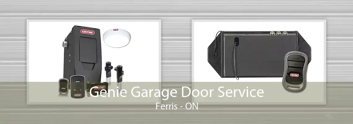 Genie Garage Door Service Ferris - ON