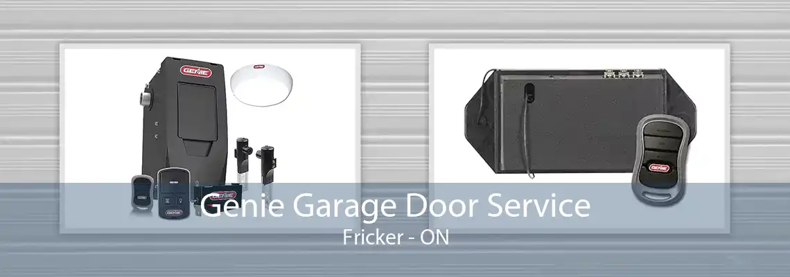Genie Garage Door Service Fricker - ON