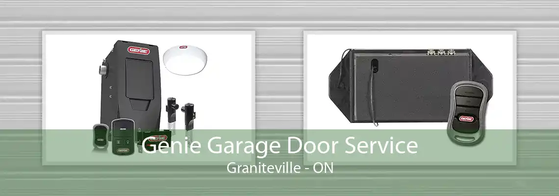 Genie Garage Door Service Graniteville - ON