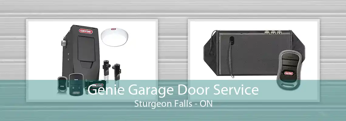Genie Garage Door Service Sturgeon Falls - ON