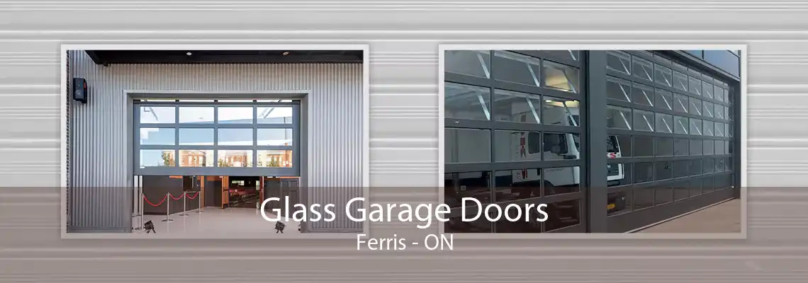 Glass Garage Doors Ferris - ON