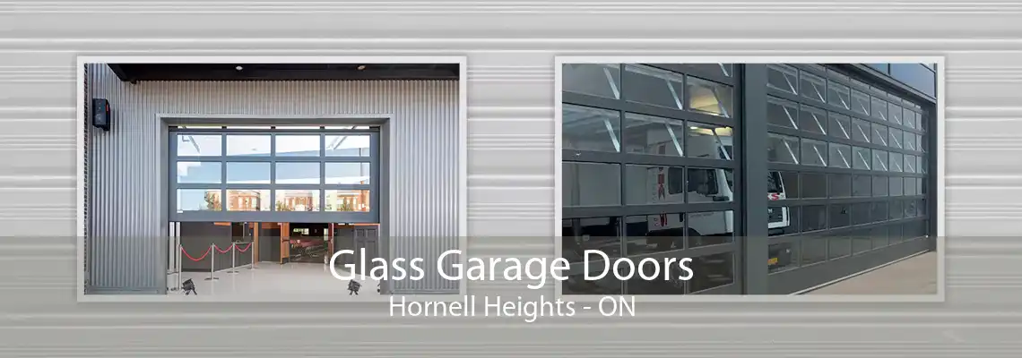 Glass Garage Doors Hornell Heights - ON