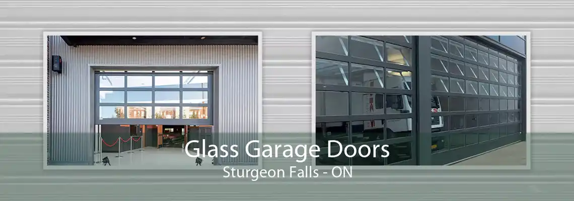 Glass Garage Doors Sturgeon Falls - ON