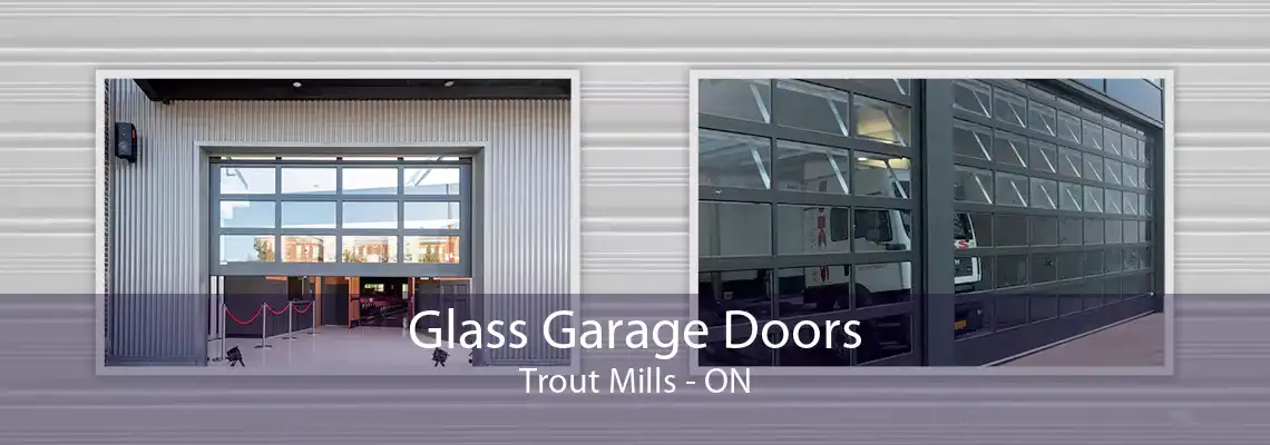 Glass Garage Doors Trout Mills - ON
