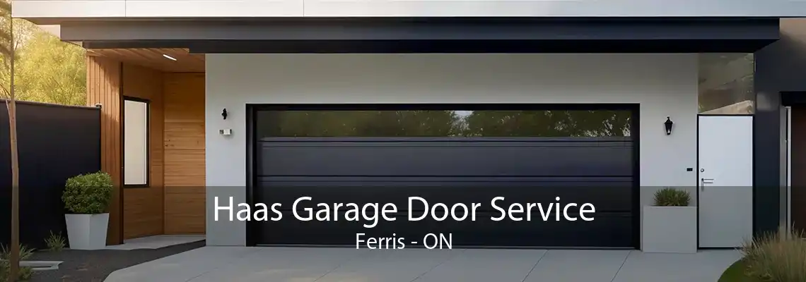 Haas Garage Door Service Ferris - ON