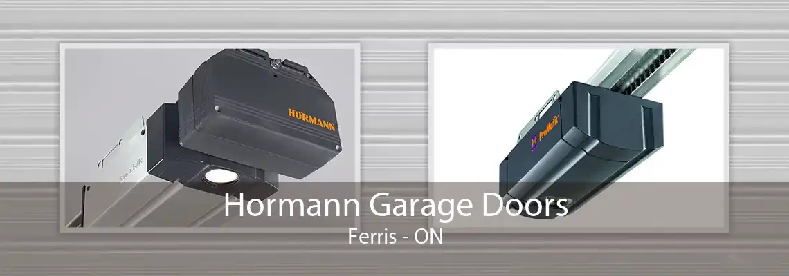 Hormann Garage Doors Ferris - ON