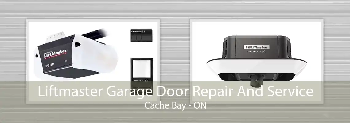 Liftmaster Garage Door Repair And Service Cache Bay - ON
