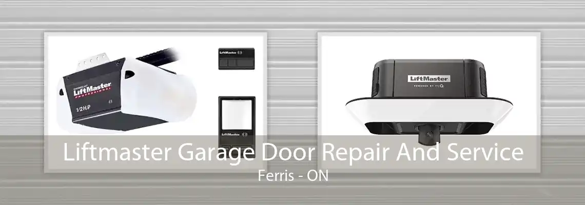 Liftmaster Garage Door Repair And Service Ferris - ON