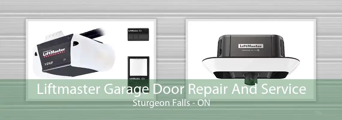 Liftmaster Garage Door Repair And Service Sturgeon Falls - ON