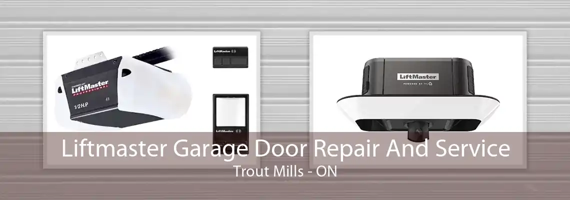 Liftmaster Garage Door Repair And Service Trout Mills - ON