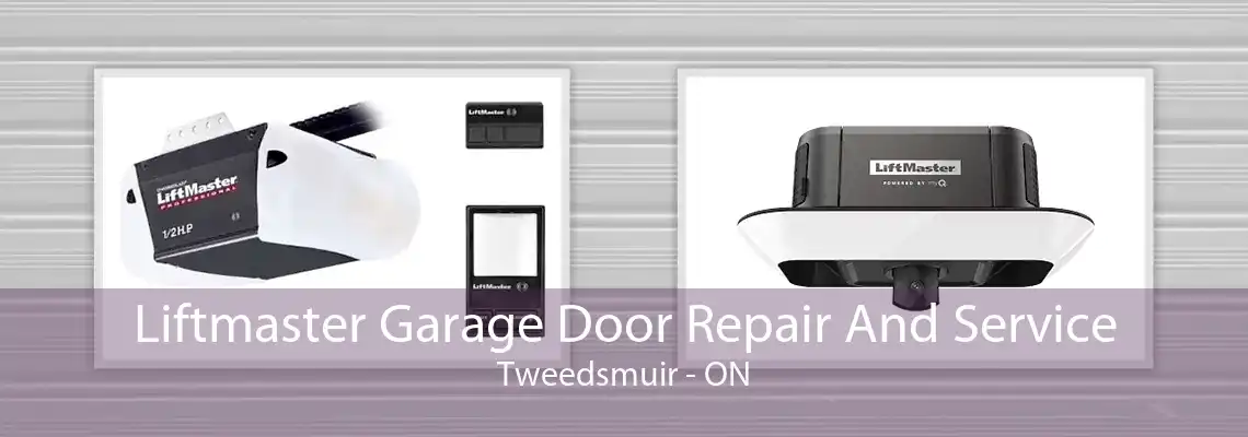 Liftmaster Garage Door Repair And Service Tweedsmuir - ON