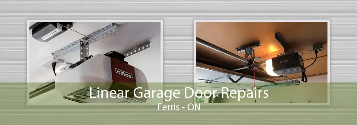 Linear Garage Door Repairs Ferris - ON