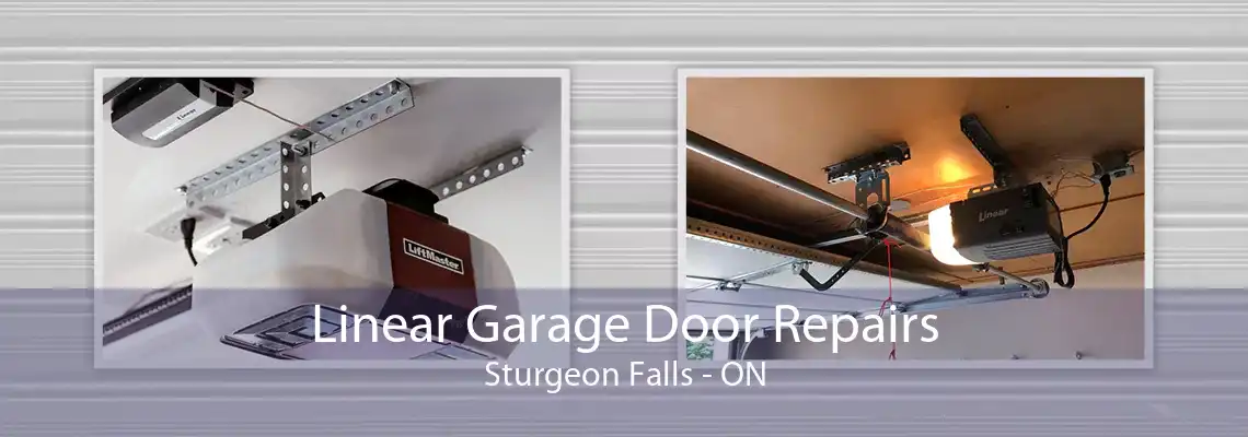 Linear Garage Door Repairs Sturgeon Falls - ON