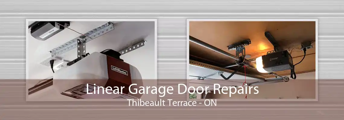 Linear Garage Door Repairs Thibeault Terrace - ON