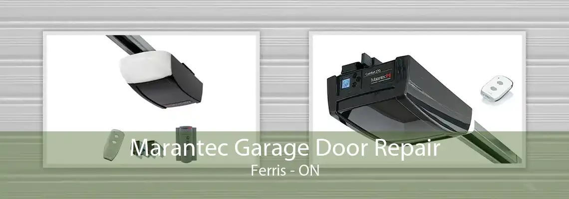 Marantec Garage Door Repair Ferris - ON