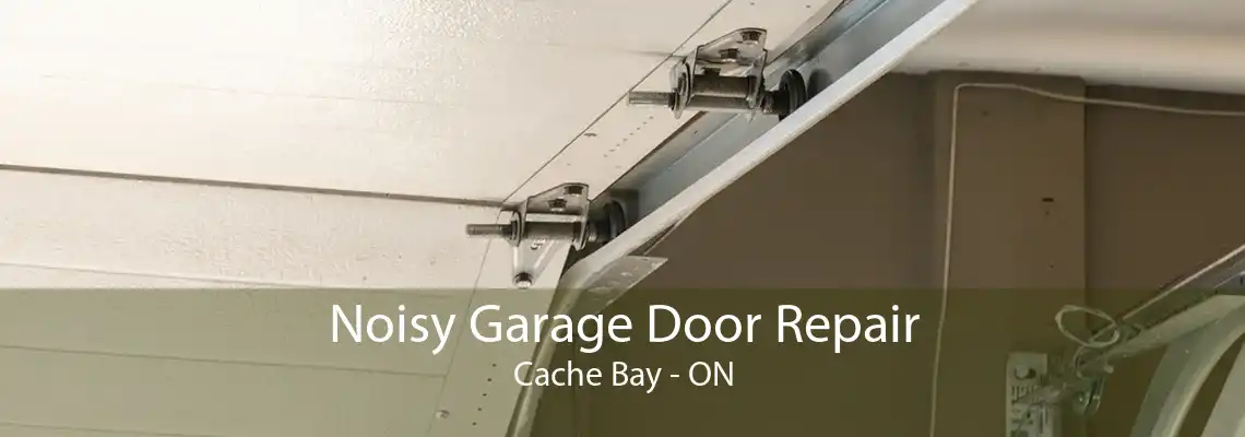 Noisy Garage Door Repair Cache Bay - ON