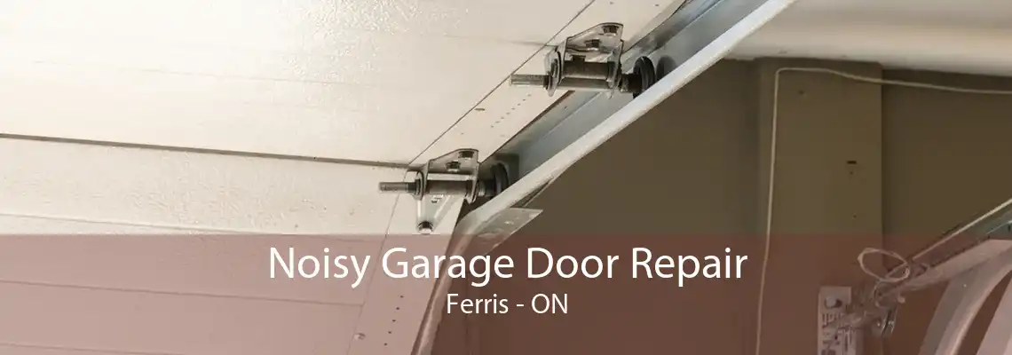 Noisy Garage Door Repair Ferris - ON