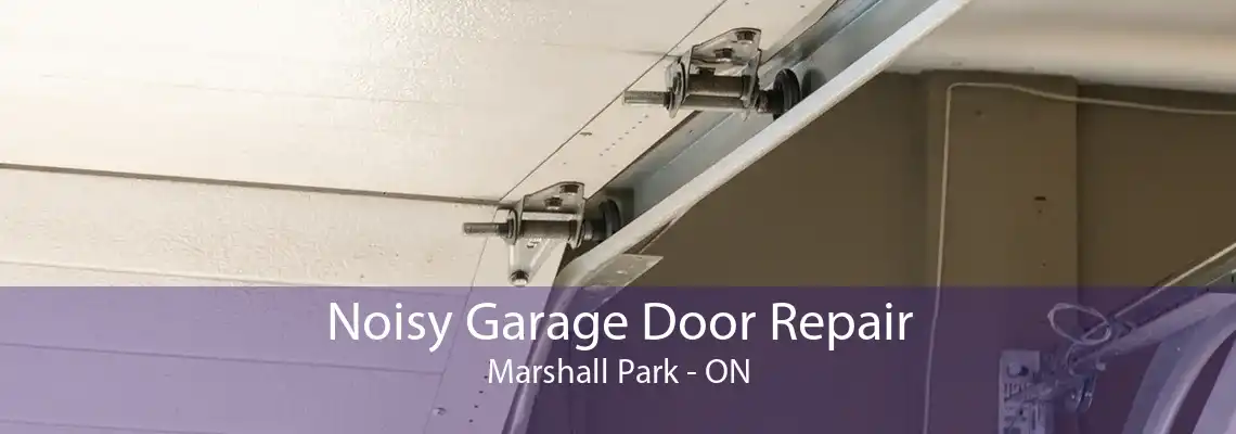 Noisy Garage Door Repair Marshall Park - ON