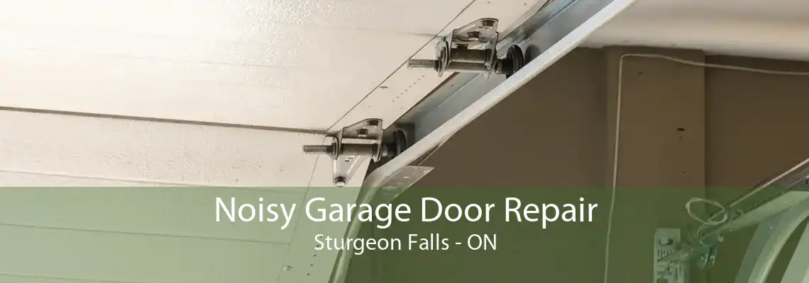 Noisy Garage Door Repair Sturgeon Falls - ON