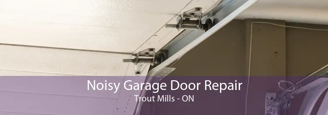 Noisy Garage Door Repair Trout Mills - ON