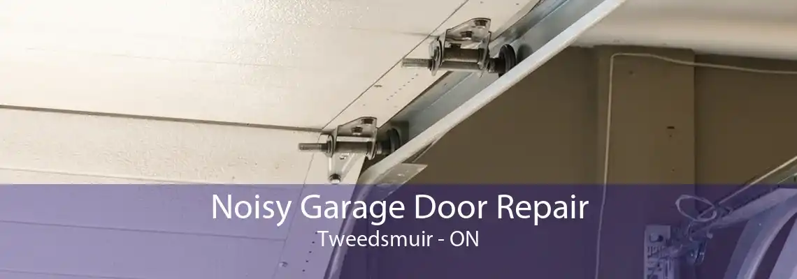 Noisy Garage Door Repair Tweedsmuir - ON