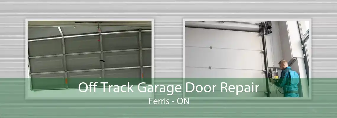 Off Track Garage Door Repair Ferris - ON
