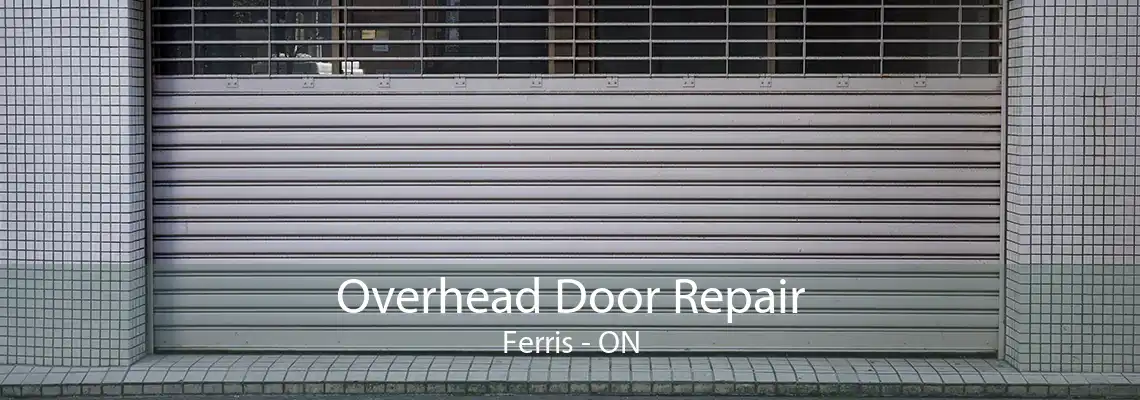 Overhead Door Repair Ferris - ON