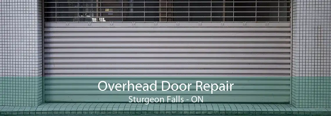 Overhead Door Repair Sturgeon Falls - ON
