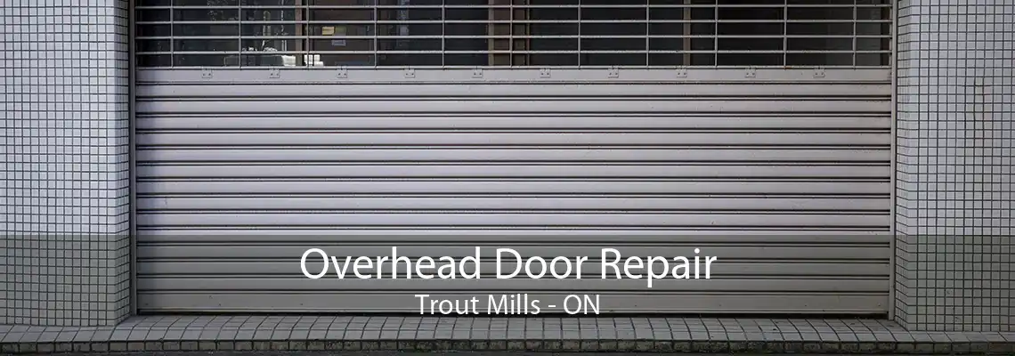 Overhead Door Repair Trout Mills - ON