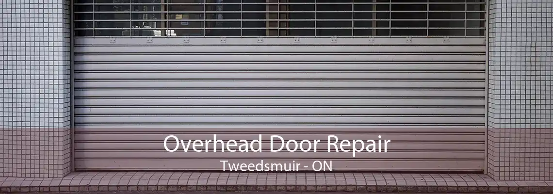 Overhead Door Repair Tweedsmuir - ON